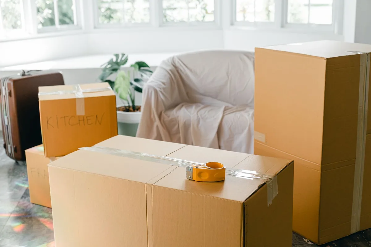 Hoarding Cleanup in Cactus, TX